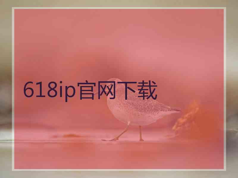 618ip官网下载