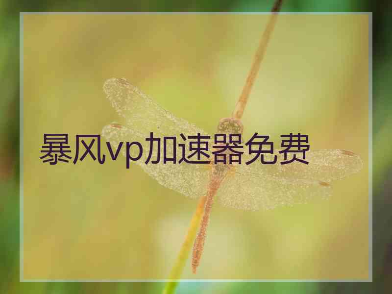 暴风vp加速器免费