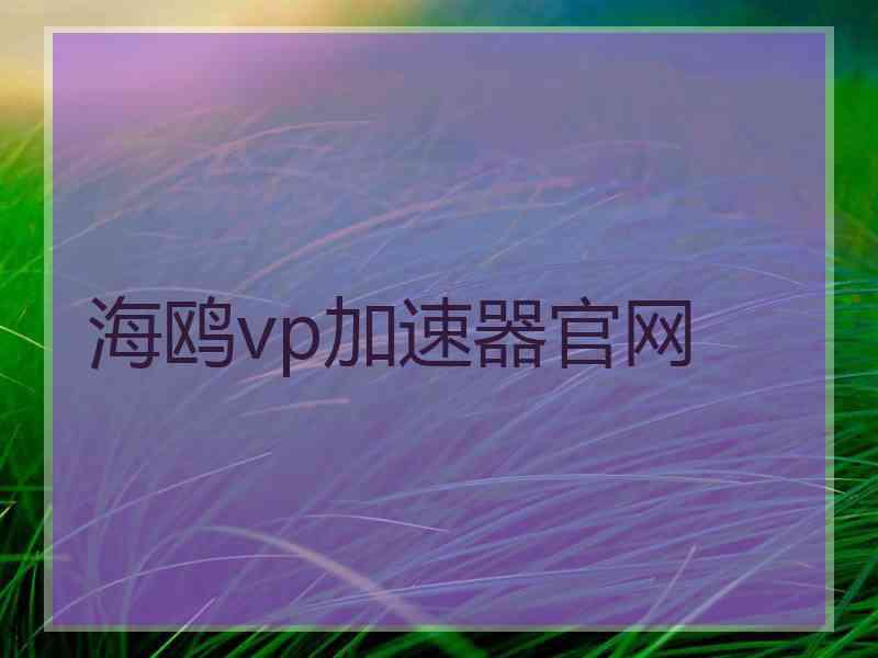 海鸥vp加速器官网