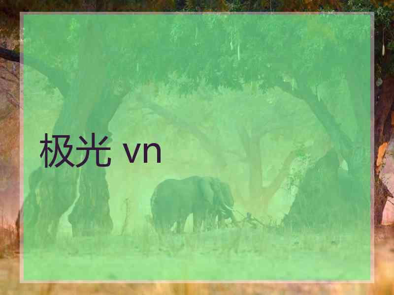 极光 vn