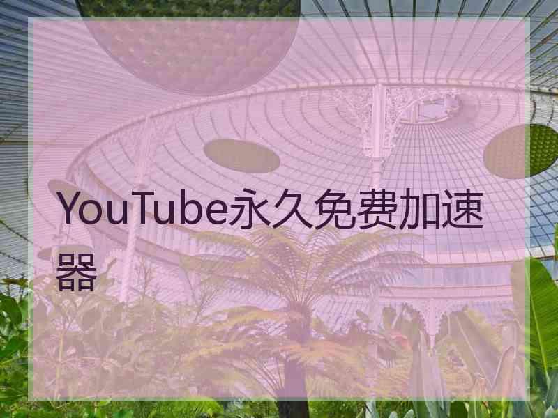 YouTube永久免费加速器