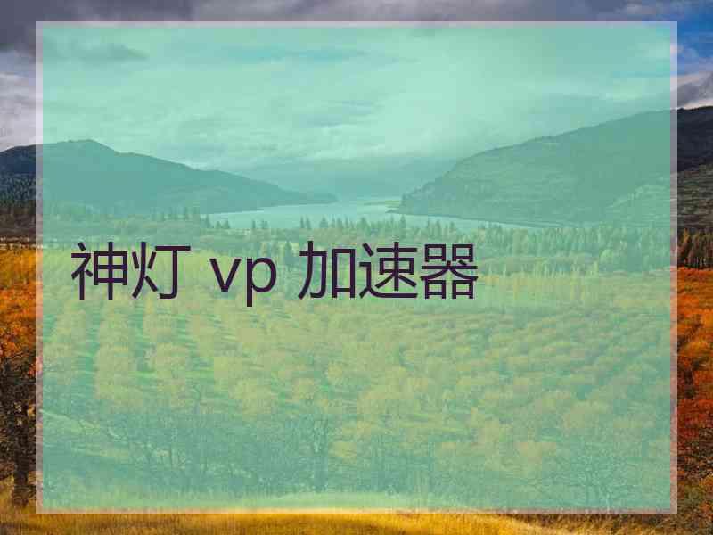 神灯 vp 加速器