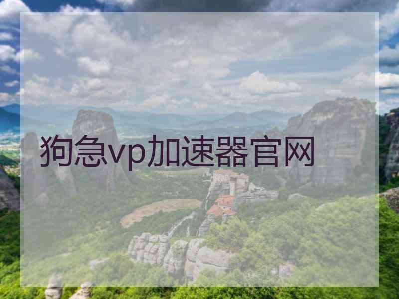 狗急vp加速器官网