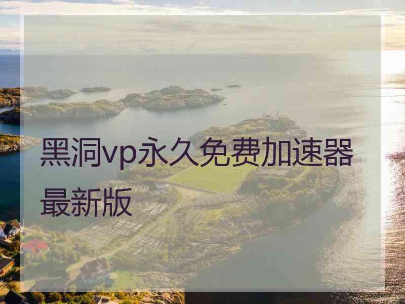 黑洞vp永久免费加速器最新版