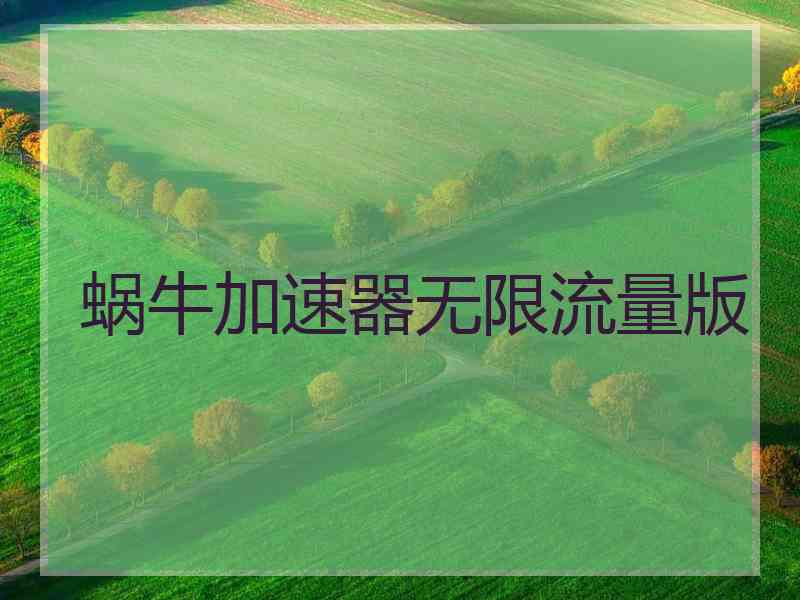 蜗牛加速器无限流量版