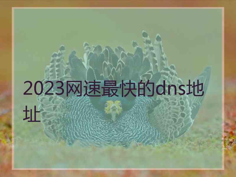 2023网速最快的dns地址