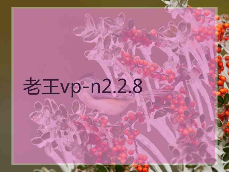 老王vp-n2.2.8