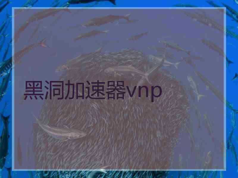 黑洞加速器vnp