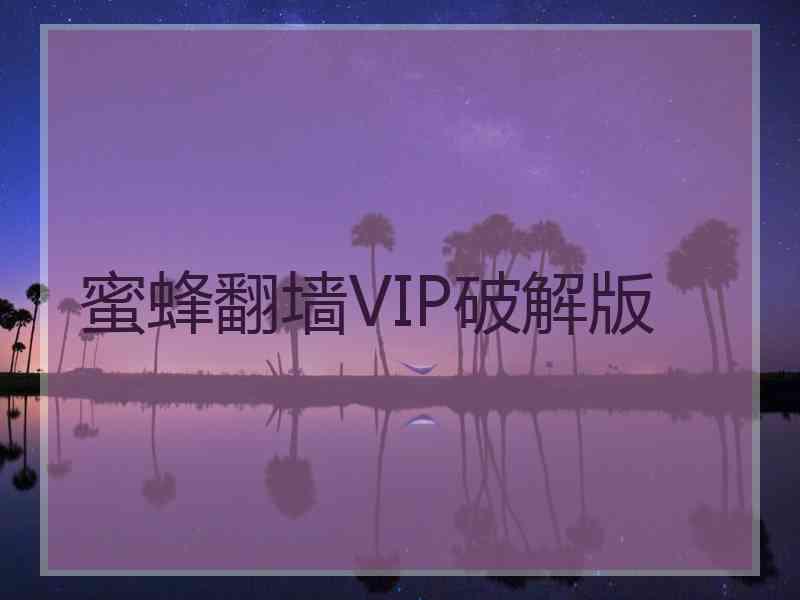 蜜蜂翻墙VIP破解版