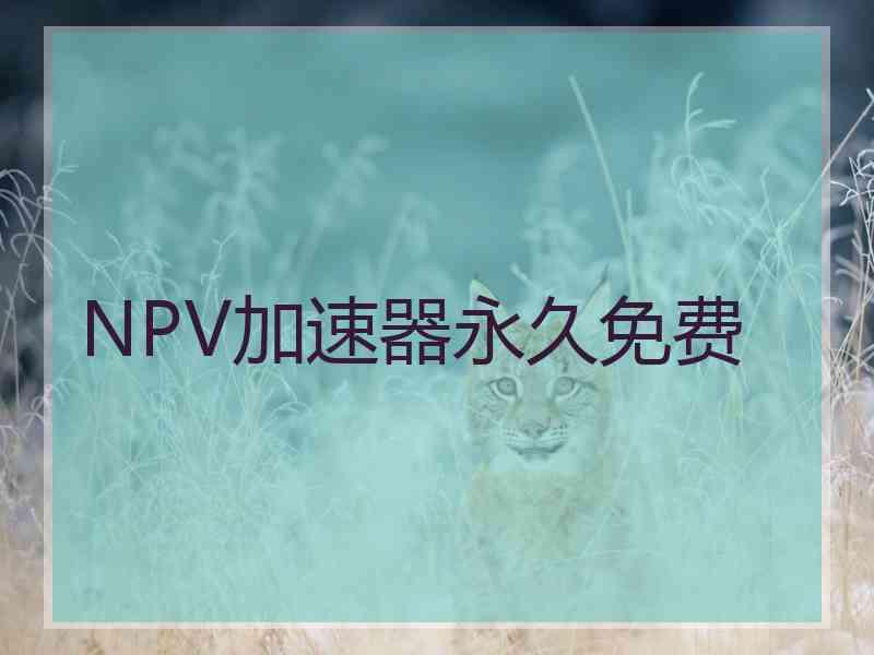 NPV加速器永久免费