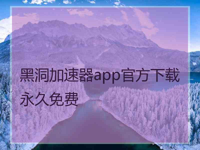 黑洞加速器app官方下载永久免费