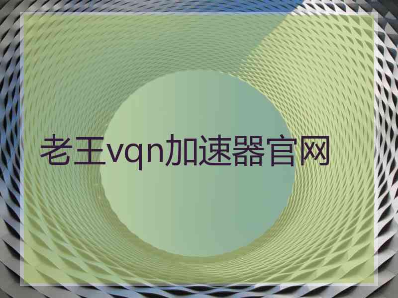 老王vqn加速器官网