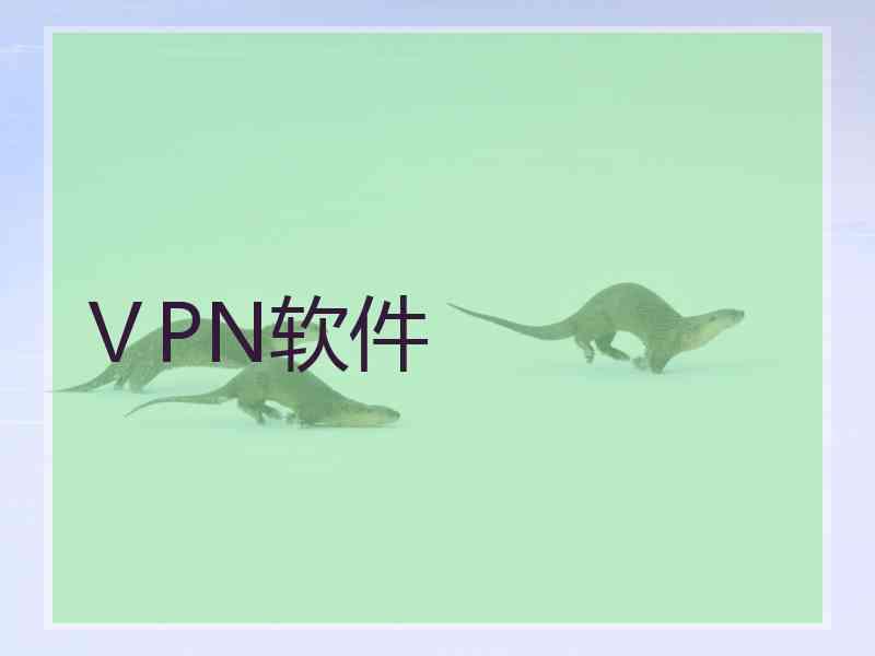 ⅤPN软件