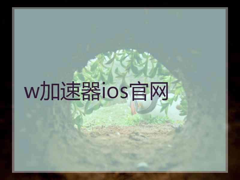 w加速器ios官网