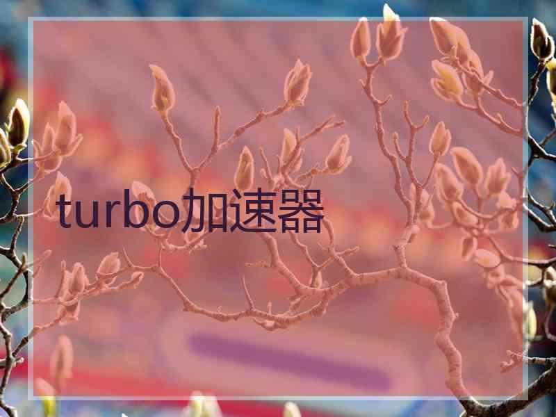 turbo加速器