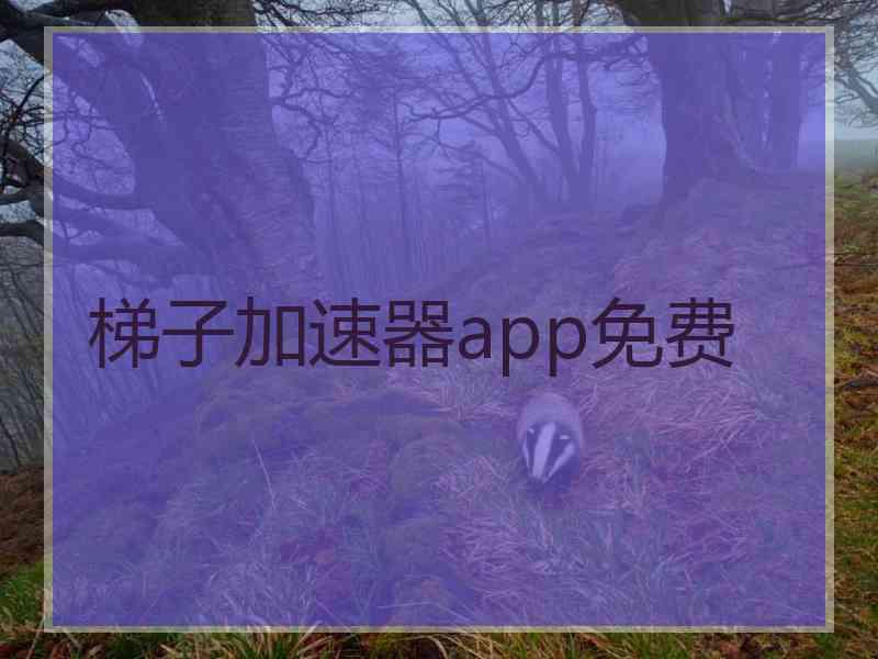 梯子加速器app免费