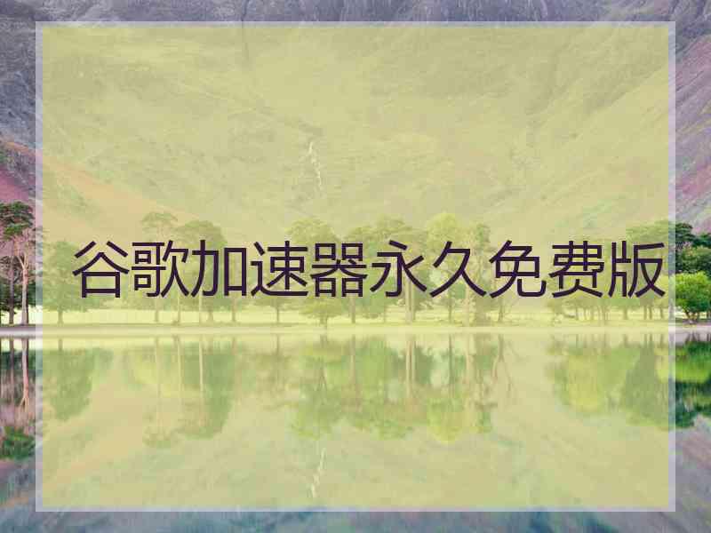 谷歌加速器永久免费版