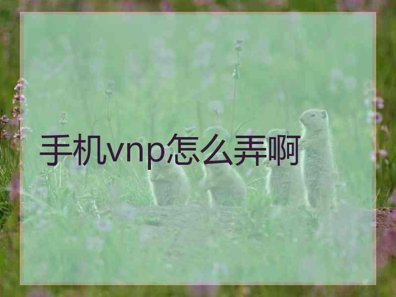 手机vnp怎么弄啊