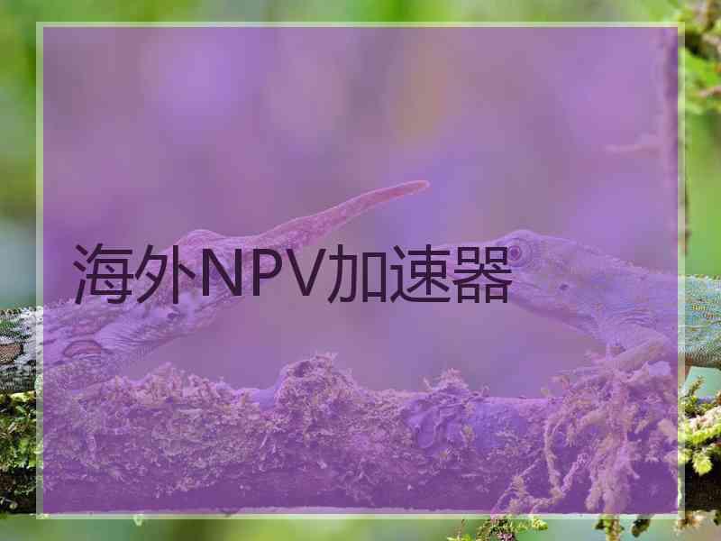 海外NPV加速器