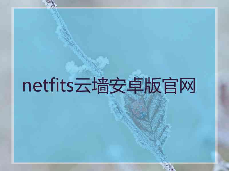 netfits云墙安卓版官网