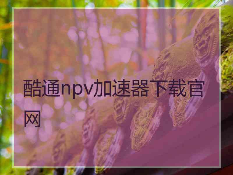 酷通npv加速器下载官网