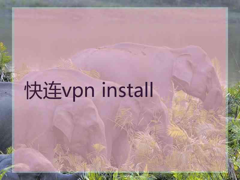 快连vpn install