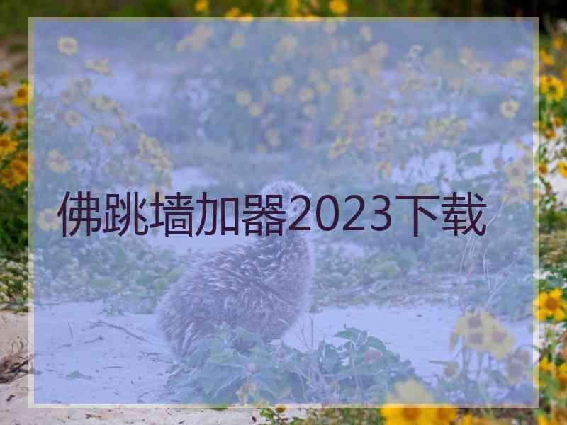 佛跳墙加器2023下载