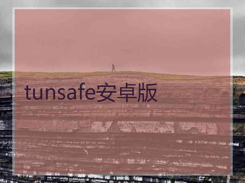 tunsafe安卓版