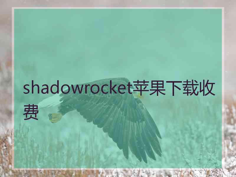 shadowrocket苹果下载收费