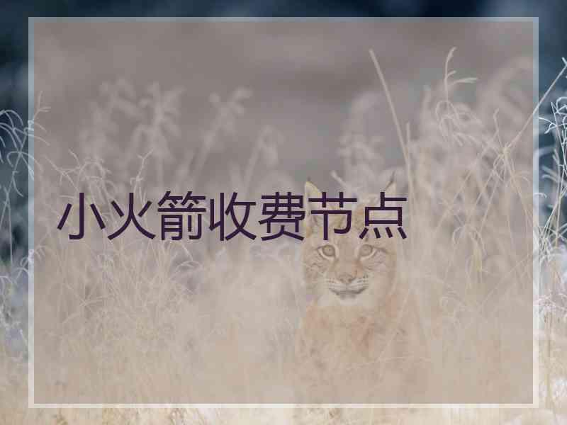 小火箭收费节点