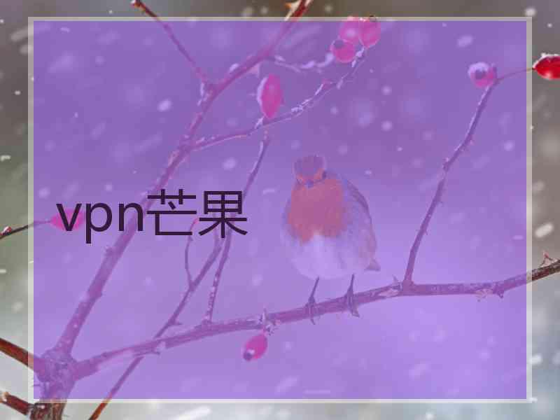 vpn芒果