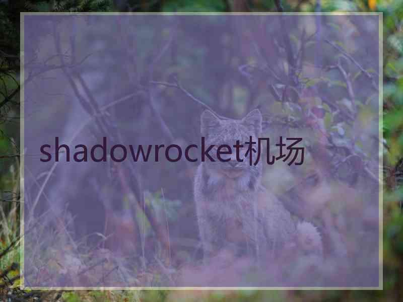 shadowrocket机场