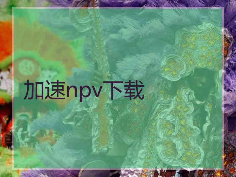 加速npv下载