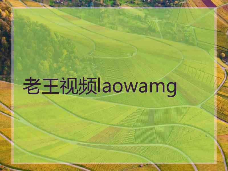 老王视频laowamg