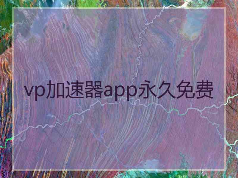 vp加速器app永久免费