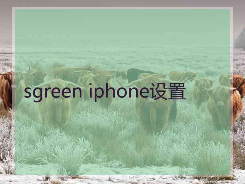 sgreen iphone设置