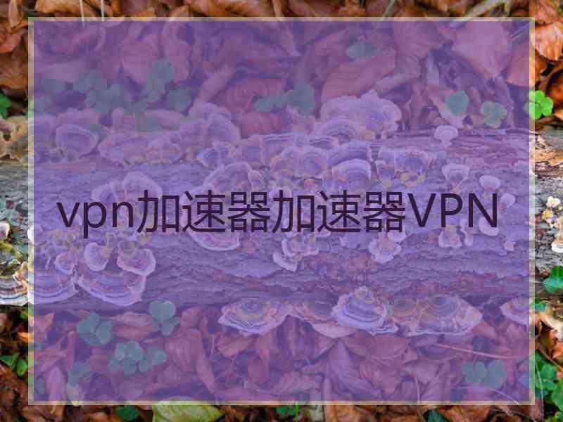 vpn加速器加速器VPN