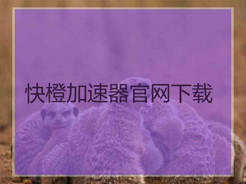 快橙加速器官网下载