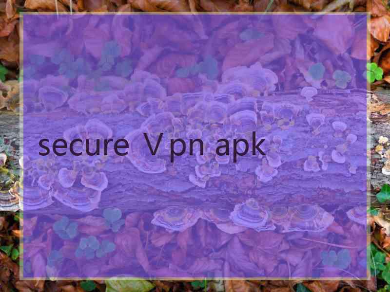 secure Ⅴpn apk