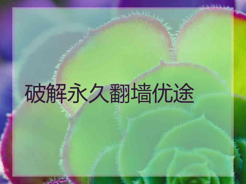 破解永久翻墙优途