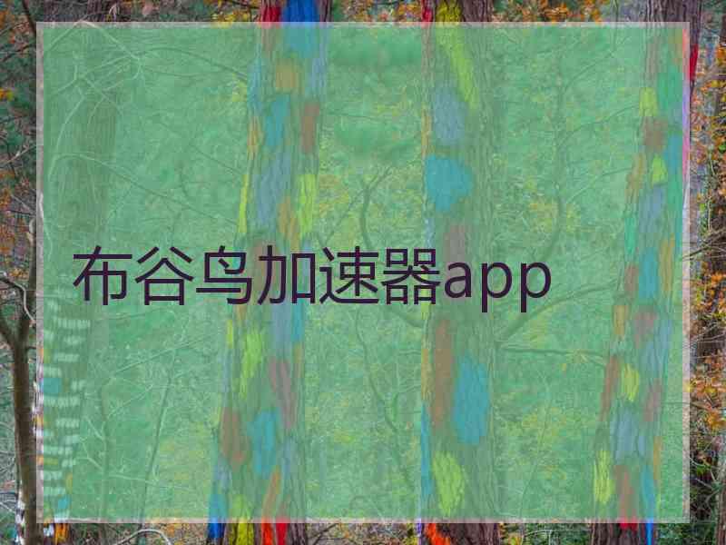 布谷鸟加速器app