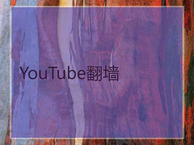 YouTube翻墙