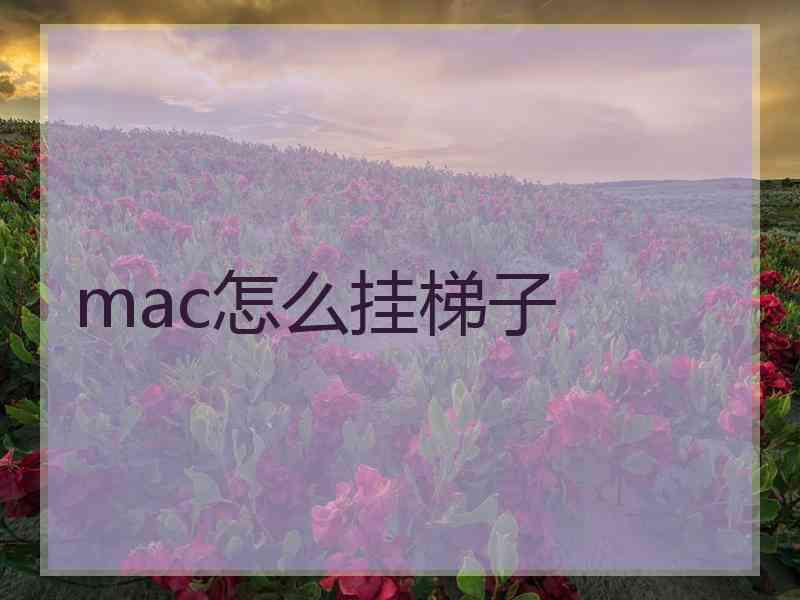 mac怎么挂梯子