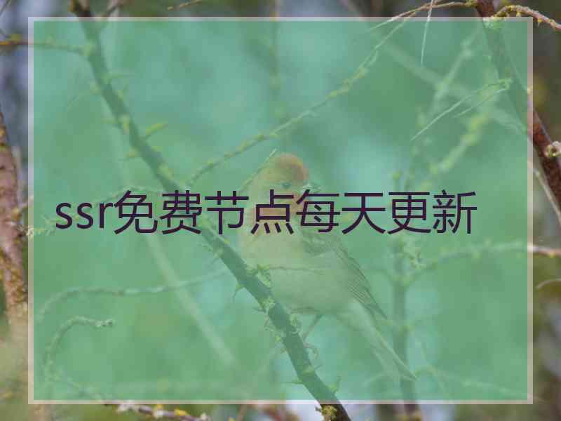 ssr免费节点每天更新