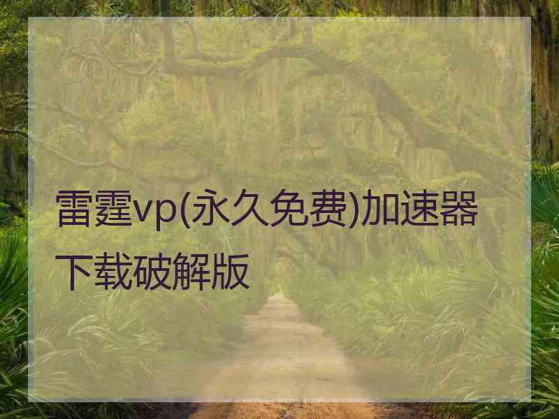 雷霆vp(永久免费)加速器下载破解版