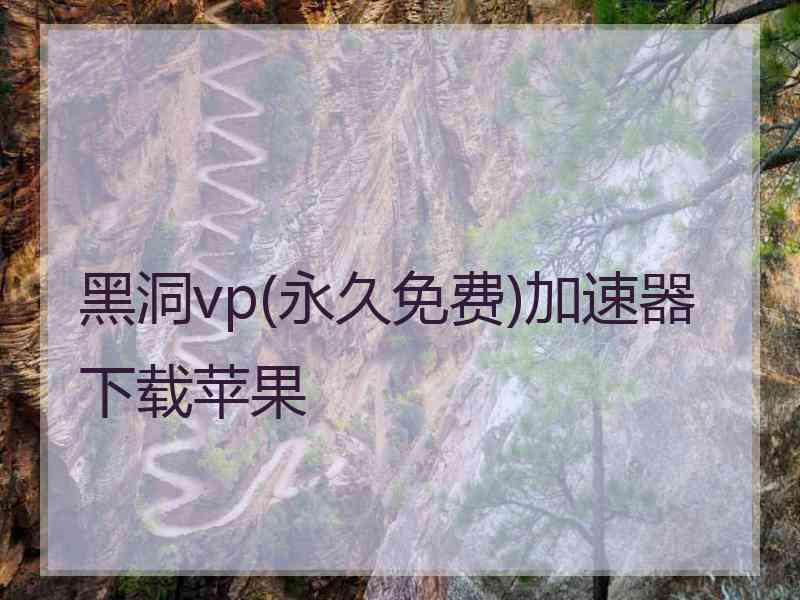 黑洞vp(永久免费)加速器下载苹果