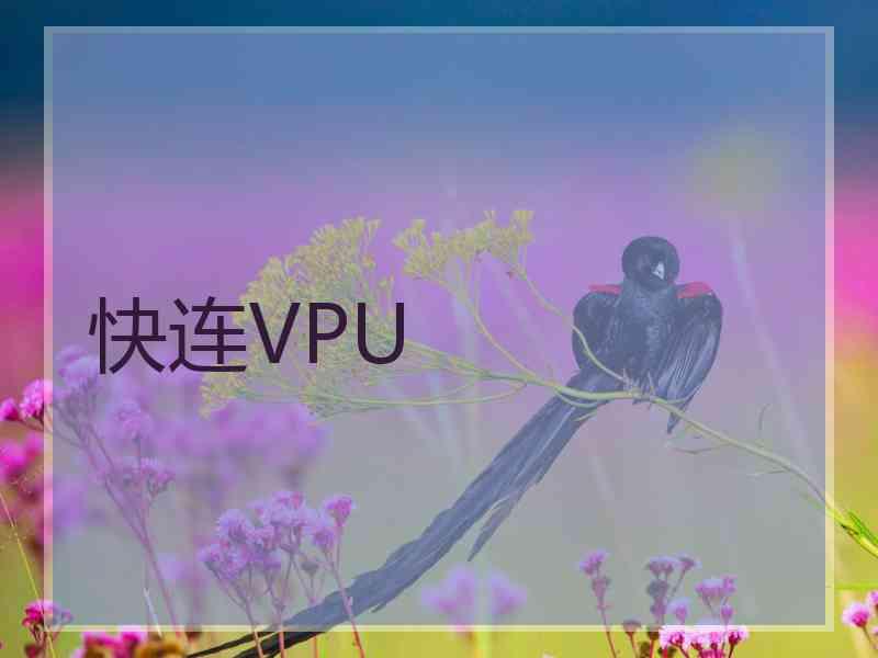 快连VPU