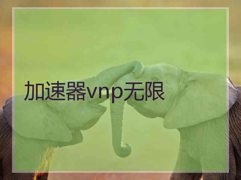 加速器vnp无限