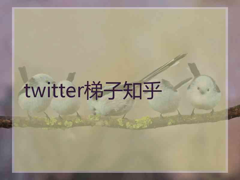 twitter梯子知乎