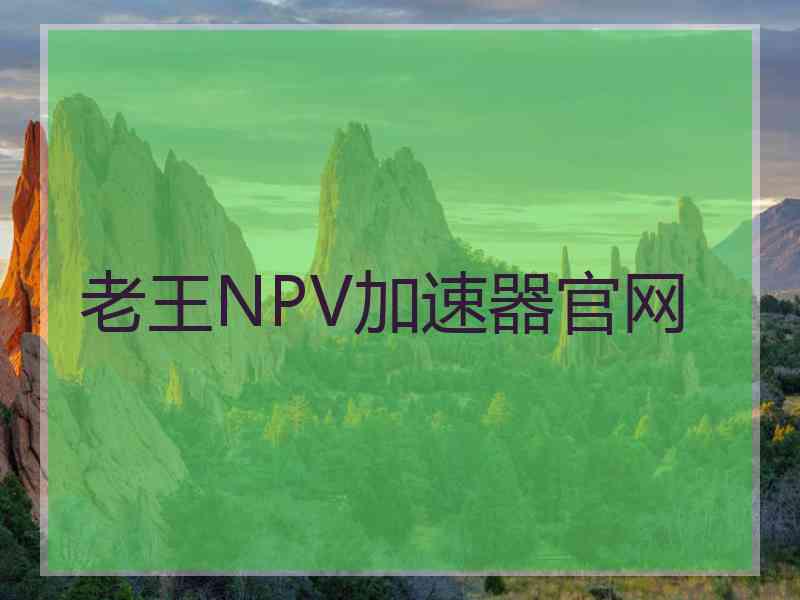 老王NPV加速器官网